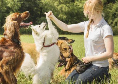 Cinofilia, patentino cinofilo Peac – prova equilibrio affidabilità controllo
