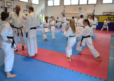 Corso di formazione nazionale per Insegnanti Tecnici AiCS di Karate 2024
