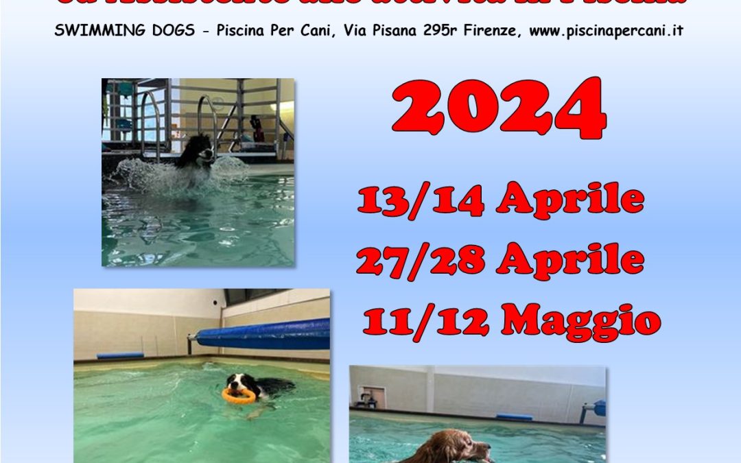 Cinofilia, corso per tecnico del nuoto e assistente alle attività in piscina
