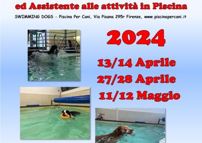 Cinofilia, corso per tecnico del nuoto e assistente alle attività in piscina