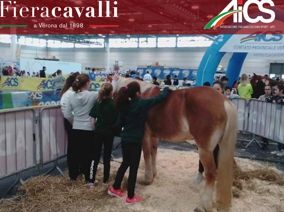 AiCS a Fieracavalli porta gli interventi assistiti con cavalli per l’inclusione delle persone con disabilità