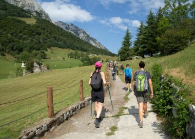 Nordic walking, corsi di formazione per tecnico e giudice di gara