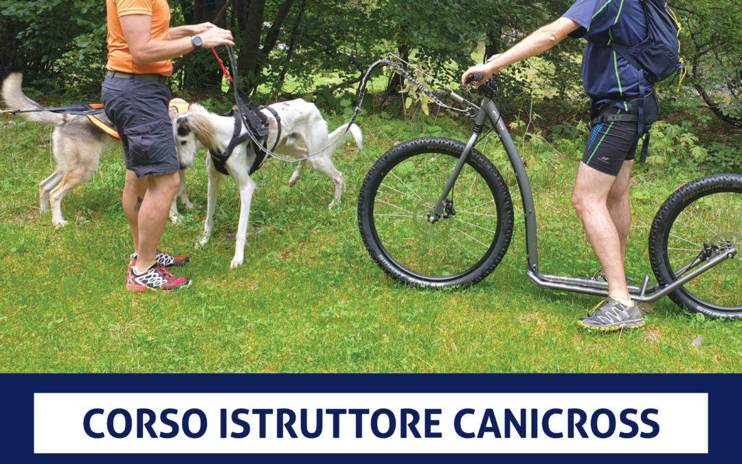 Cinofilia, corso per istruttori AiCS Canicross Trail