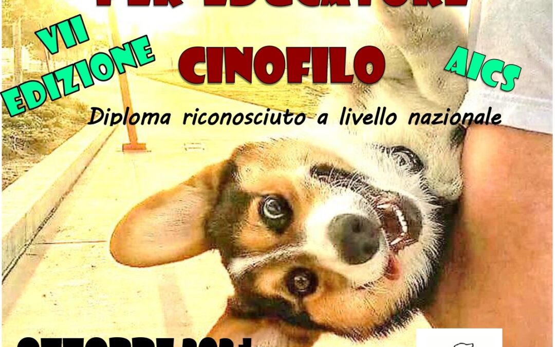 Cinofilia, corso per educatore cinofilo