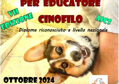 Cinofilia, corso per educatore cinofilo