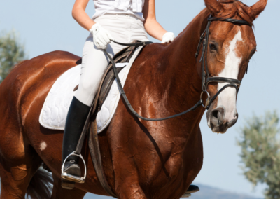 AiCS a Fieracavalli con l’equitazione inclusiva, l’arte dei butteri e il battesimo della sella per i più piccoli