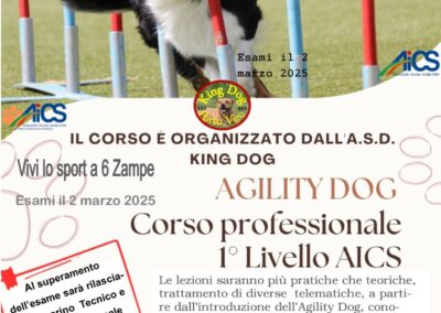Cinofilia, corso per tecnico di Agility dog di 1° livello