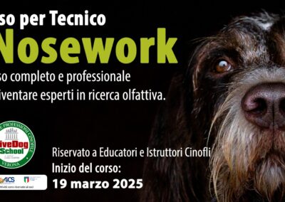 Cinofilia, corso per tecnico di Nosework