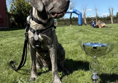 Cinofilia, successo al 1° Memorial “Claudio Cadeddu” – gara di canicross