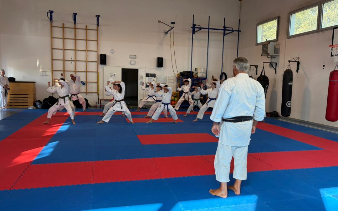 Lavoro sportivo: chiarimenti su ritenute d’acconto, premi e regime forfettario