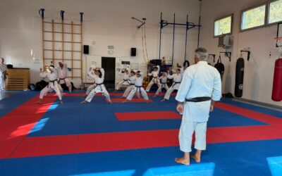 Lavoro sportivo: chiarimenti su ritenute d’acconto, premi e regime forfettario