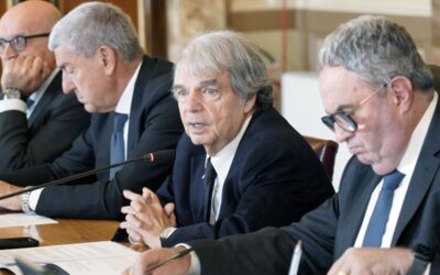 Lavoro e Diritti umani, Molea al seminario CNEL-CIDU