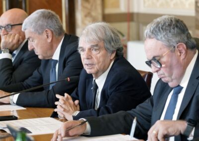 Lavoro e Diritti umani, Molea al seminario CNEL-CIDU