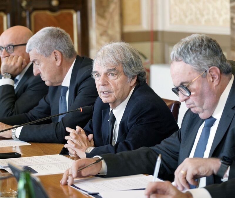 Lavoro e Diritti umani, Molea al seminario CNEL-CIDU