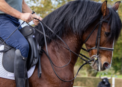 Corso di Formazione per OTB (Operatore Tecnico di base Equitazione) e Tecnico di equitazione 1° livello