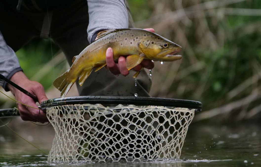 29° Campionato Nazionale AiCS di Pesca Trota lago