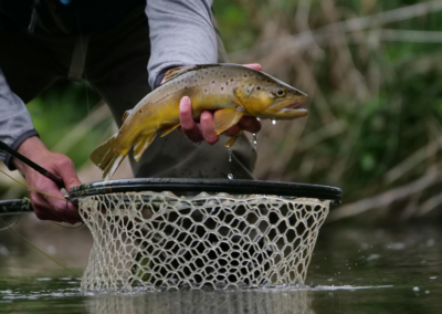 29° Campionato Nazionale AiCS di Pesca Trota lago