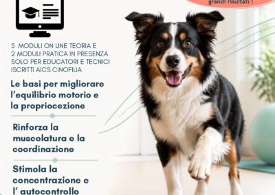Cinofilia, al via il 3 dicembre il corso per tecnici Dog Fit Gym